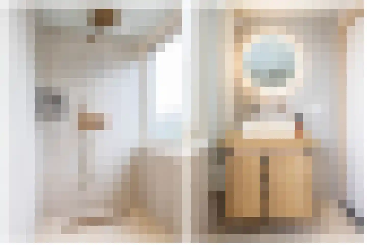 Vindicatstraat 21 a Groningen thumbnail 20
