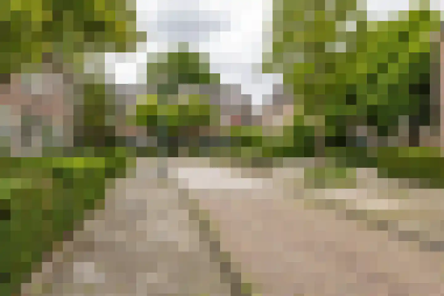 Vindicatstraat 21 a Groningen thumbnail 29