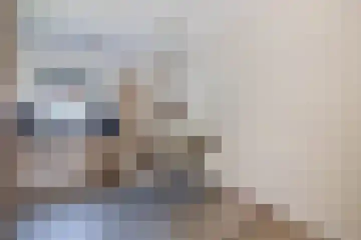 Vindicatstraat 30 Groningen thumbnail 15