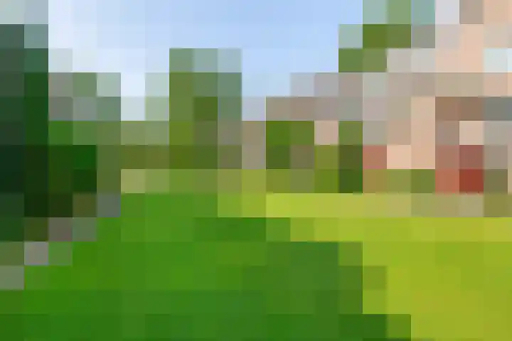 Vindicatstraat 30 Groningen thumbnail 28