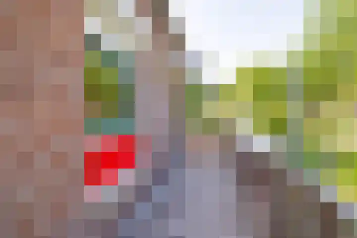 Vindicatstraat 30 Groningen thumbnail 29