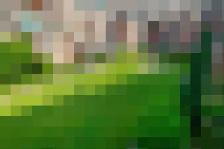 Vindicatstraat 30 Groningen thumbnail 30
