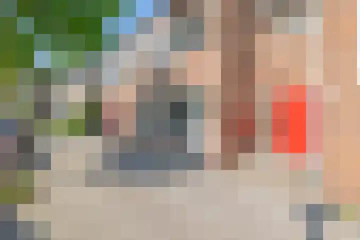 Vindicatstraat 30 Groningen thumbnail 34