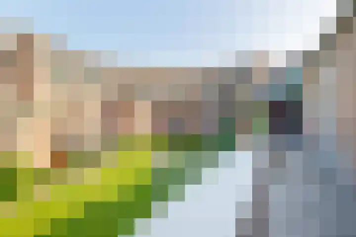 Vindicatstraat 30 Groningen thumbnail 36
