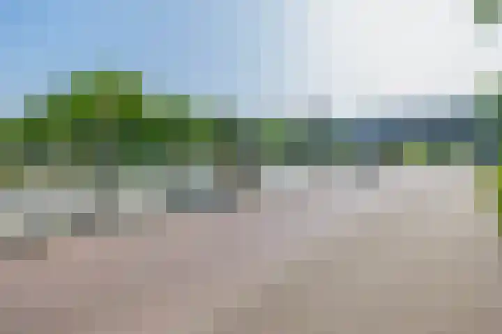 Vindicatstraat 30 Groningen thumbnail 38