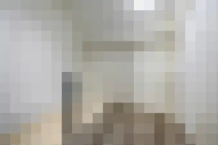 Vindicatstraat 40 Groningen thumbnail 23