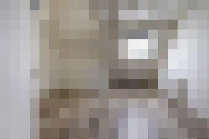 Vindicatstraat 40 Groningen thumbnail 24