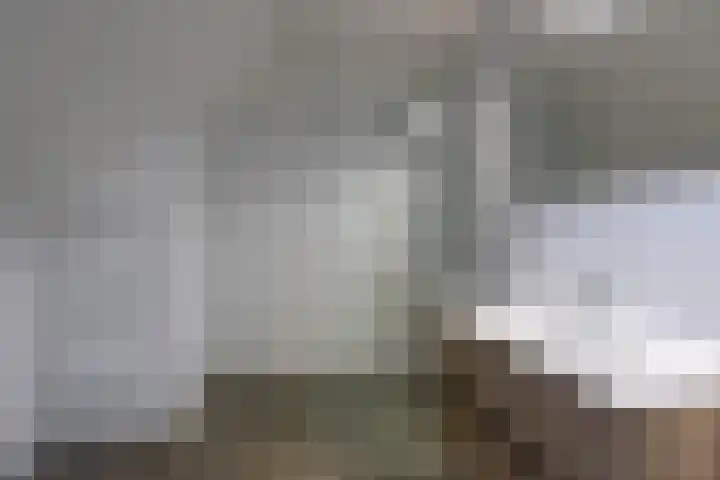 Vindicatstraat 40 Groningen thumbnail 31