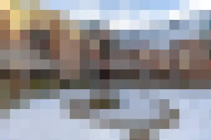 Vindicatstraat 40 Groningen thumbnail 36