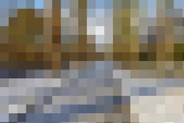 Vindicatstraat 40 Groningen thumbnail 41