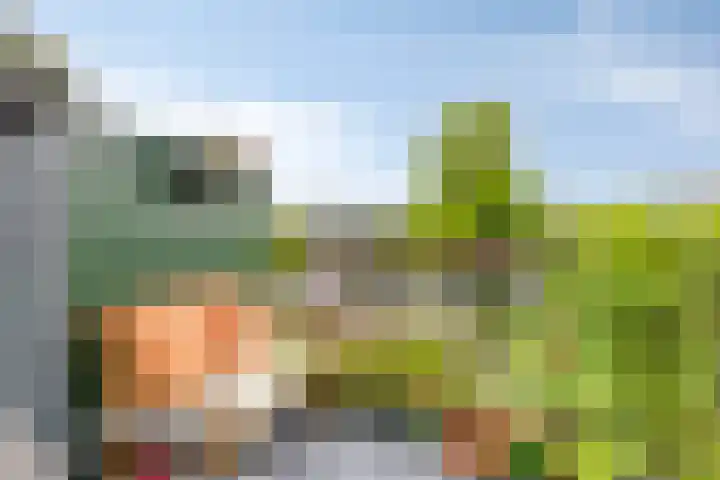 Vindicatstraat 7 a Groningen thumbnail 16