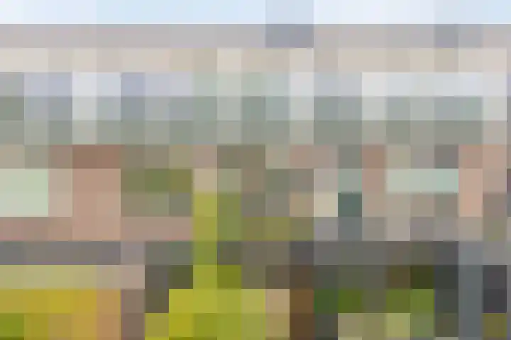 Vindicatstraat 7 a Groningen thumbnail 24