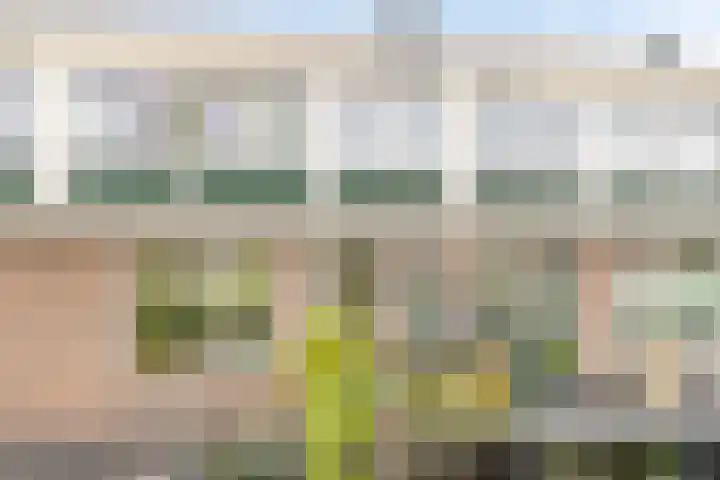 Vindicatstraat 7 a Groningen thumbnail 25