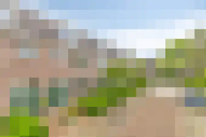Vindicatstraat 7 a Groningen thumbnail 37