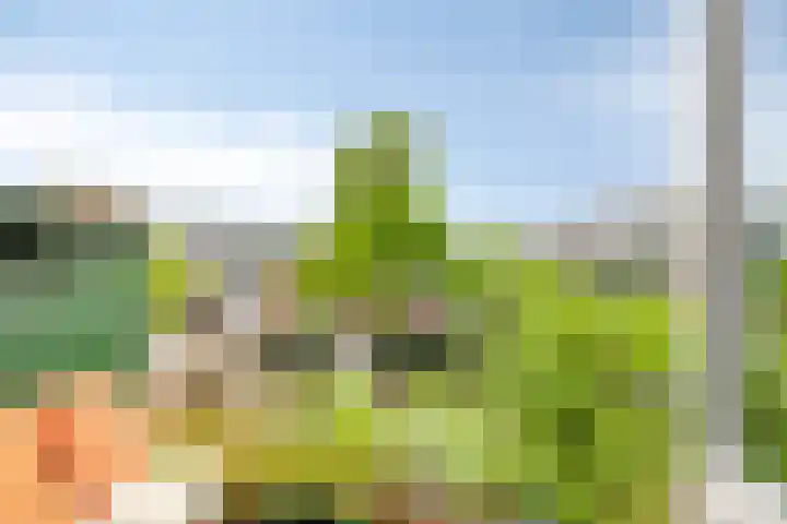 Vindicatstraat 7 a Groningen thumbnail 4