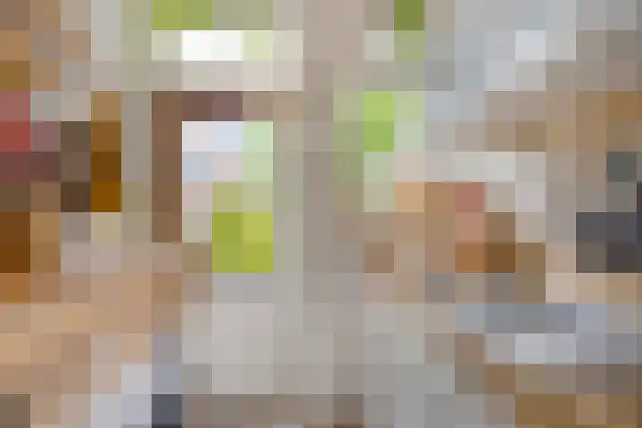 Vindicatstraat 8 Groningen thumbnail 13