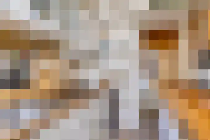 Vindicatstraat 8 Groningen thumbnail 14