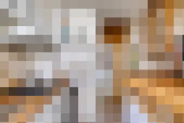Vindicatstraat 8 Groningen thumbnail 15
