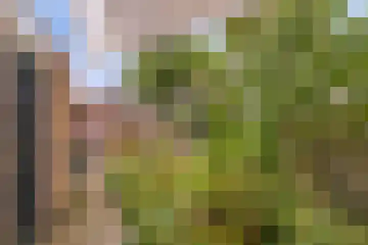Vindicatstraat 8 Groningen thumbnail 21
