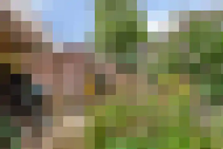 Vindicatstraat 8 Groningen thumbnail 22