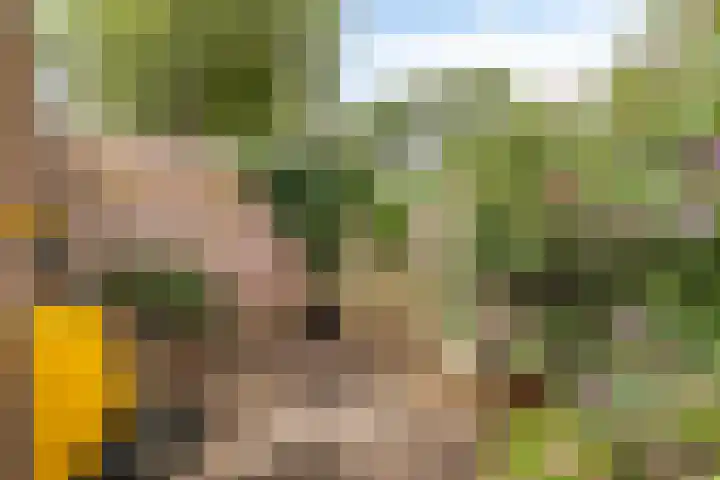 Vindicatstraat 8 Groningen thumbnail 23