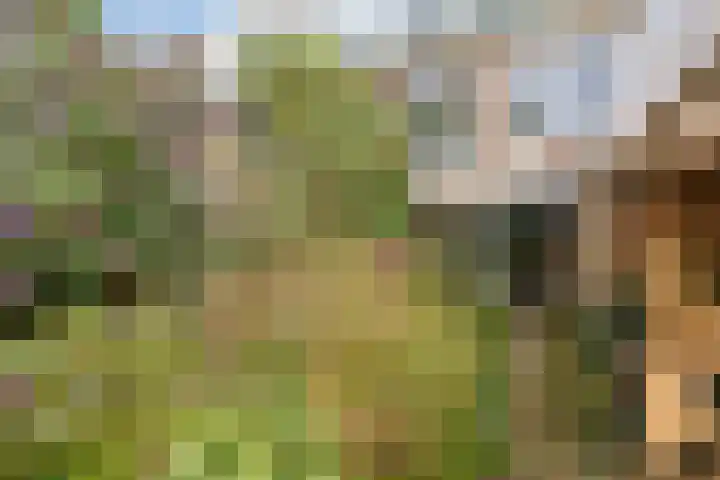 Vindicatstraat 8 Groningen thumbnail 24