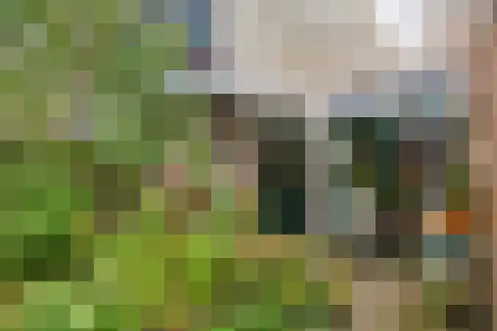 Vindicatstraat 8 Groningen thumbnail 25