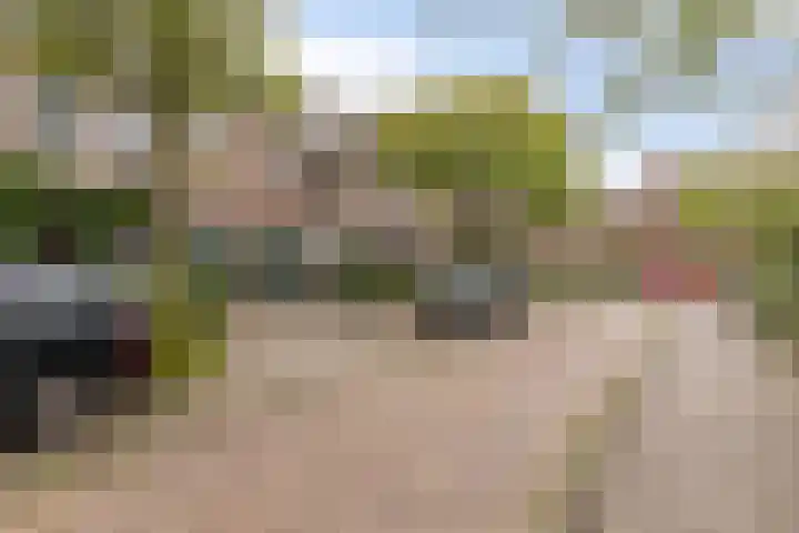 Vindicatstraat 8 Groningen thumbnail 27