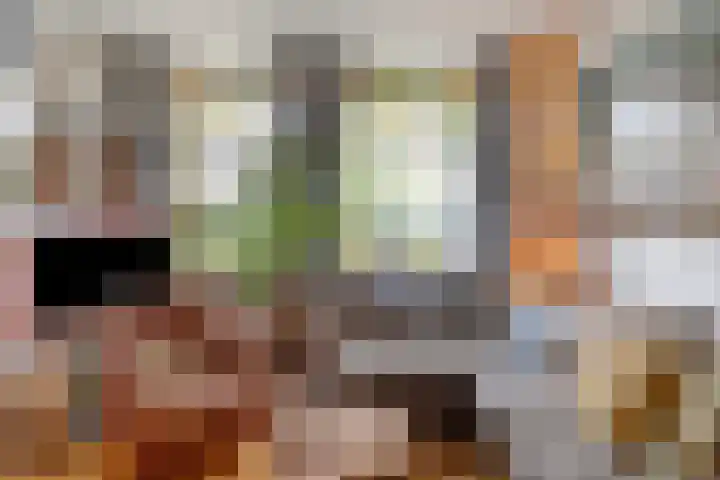 Vindicatstraat 8 Groningen thumbnail 5