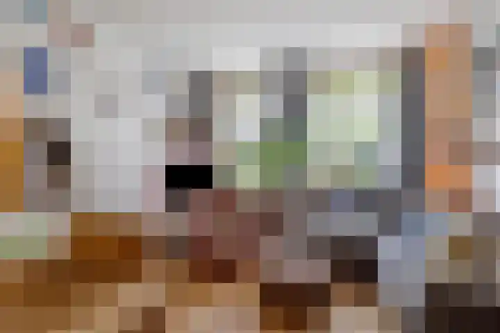 Vindicatstraat 8 Groningen thumbnail 6