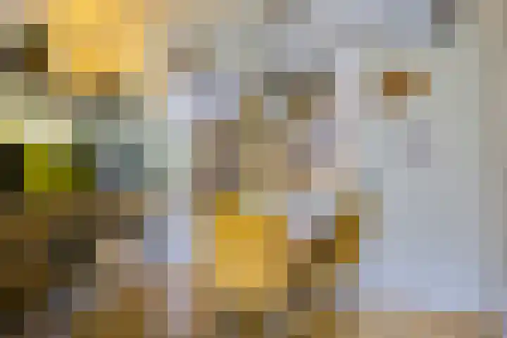 Vindicatstraat 8 Groningen thumbnail 8