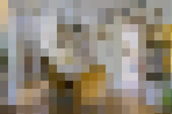 Vindicatstraat 8 Groningen thumbnail 9