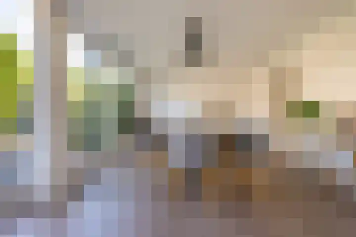 Vingboonsstraat 17 Hilversum thumbnail 11
