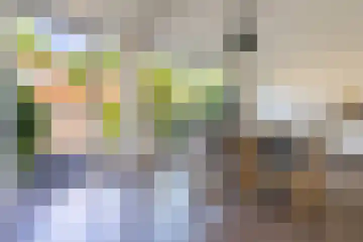 Vingboonsstraat 17 Hilversum thumbnail 13