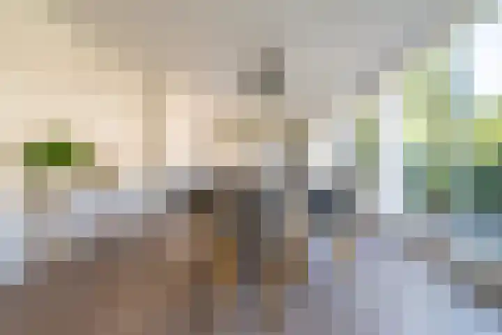 Vingboonsstraat 17 Hilversum thumbnail 14