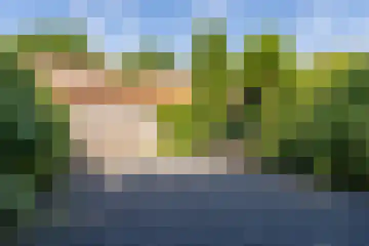Vingboonsstraat 17 Hilversum thumbnail 17