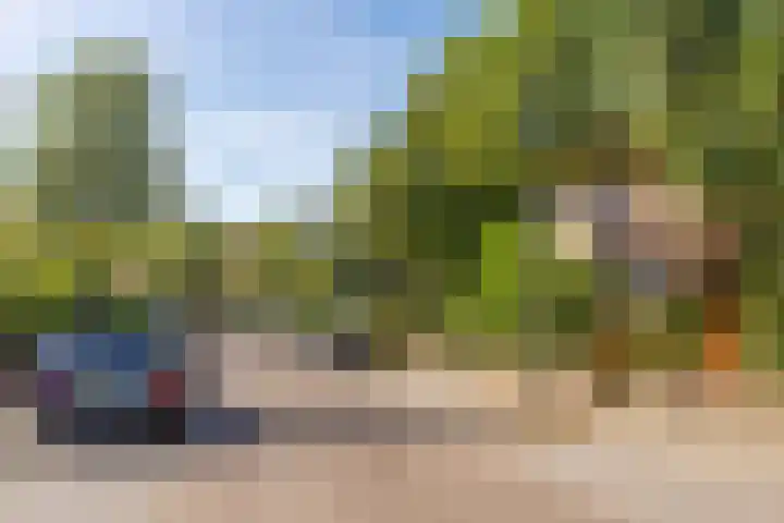 Vingboonsstraat 17 Hilversum thumbnail 21