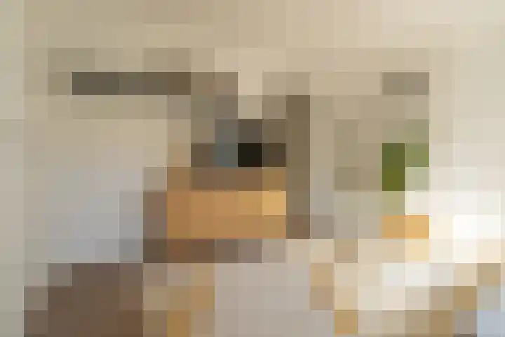 Vingboonsstraat 17 Hilversum thumbnail 7