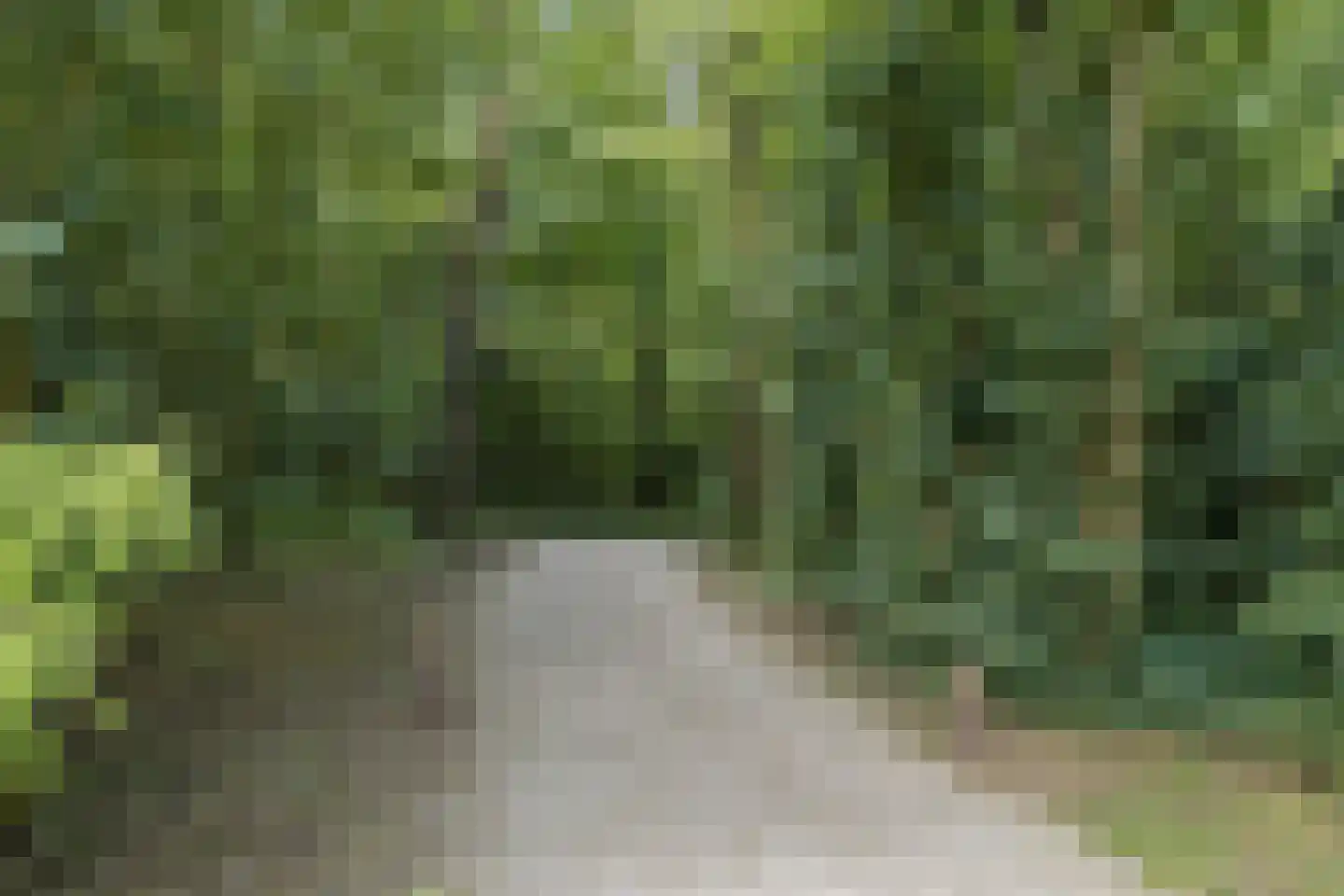 Vingboonsstraat 46 Hilversum thumbnail 28