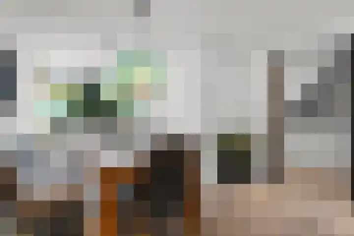 Vingerhoed 11 Dieren thumbnail 16