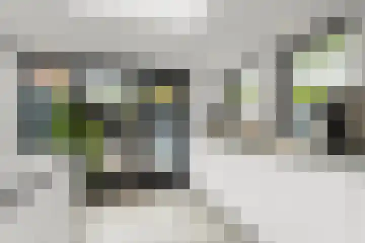 Vingerhoed 11 Dieren thumbnail 19