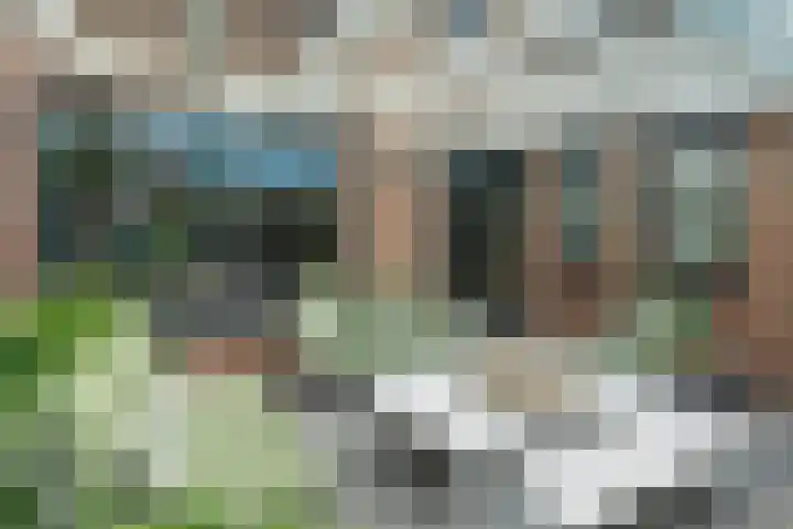 Vingerhoed 11 Dieren thumbnail 22