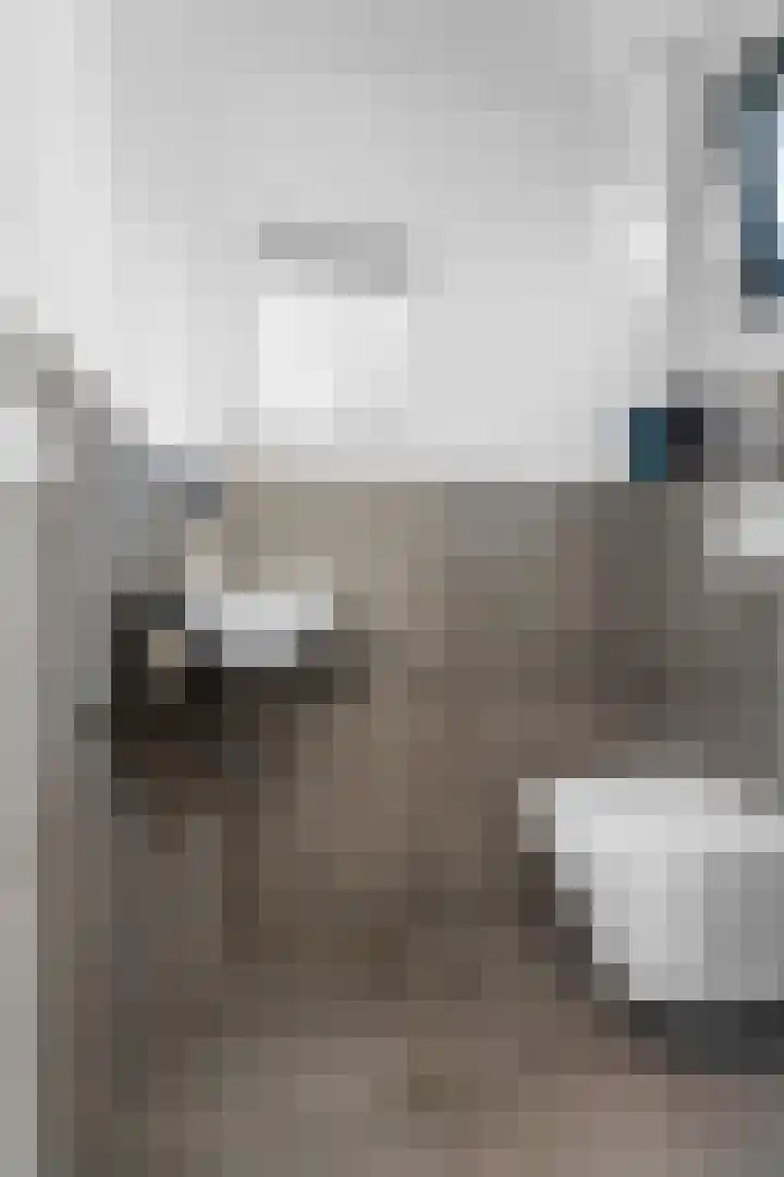 Vingerhoed 11 Dieren thumbnail 24