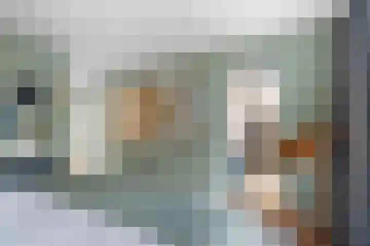 Vingerhoed 11 Dieren thumbnail 28
