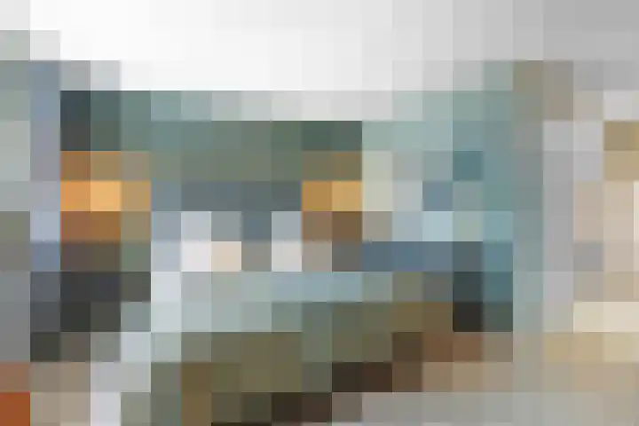 Vingerhoed 11 Dieren thumbnail 29