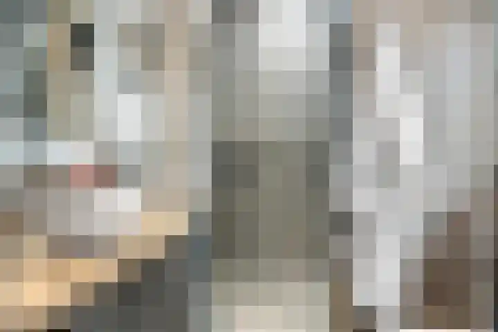 Vingerhoed 11 Dieren thumbnail 32