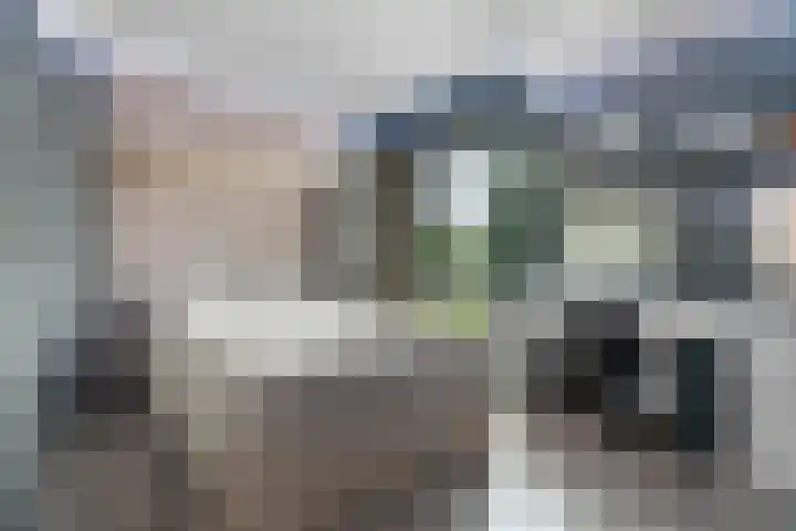Vingerhoed 11 Dieren thumbnail 35