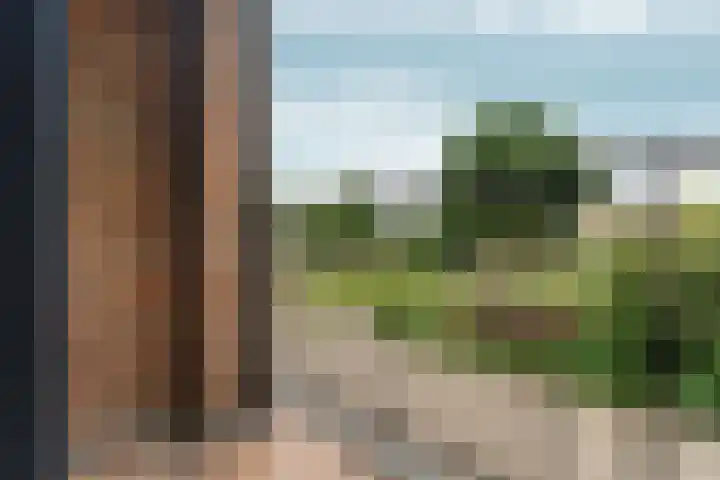 Vingerhoed 11 Dieren thumbnail 38