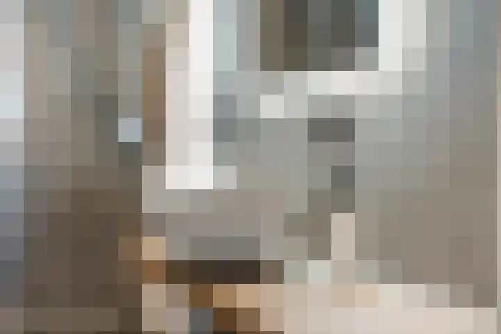 Vingerhoed 11 Dieren thumbnail 39