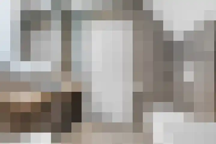 Vingerhoed 11 Dieren thumbnail 4